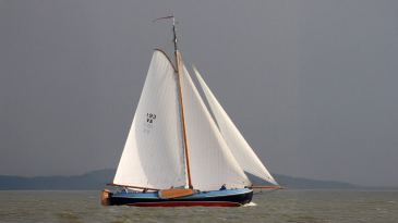 Zeiltocht op de Lemsteraak “De Papegaai” (10 personen)